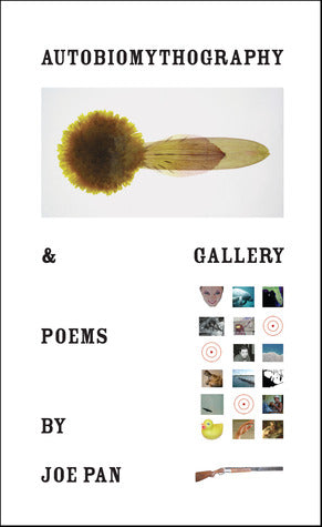 Autobiomythography & Gallery by Joe Pan