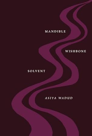 Mandible Wishbone Solvent by Asiya Wadud