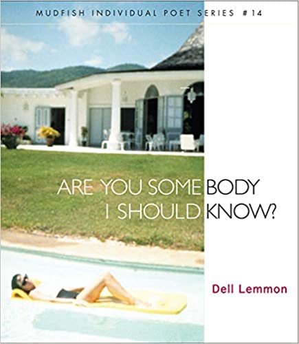Are You Somebody I Should Know? by Dell Lemmon