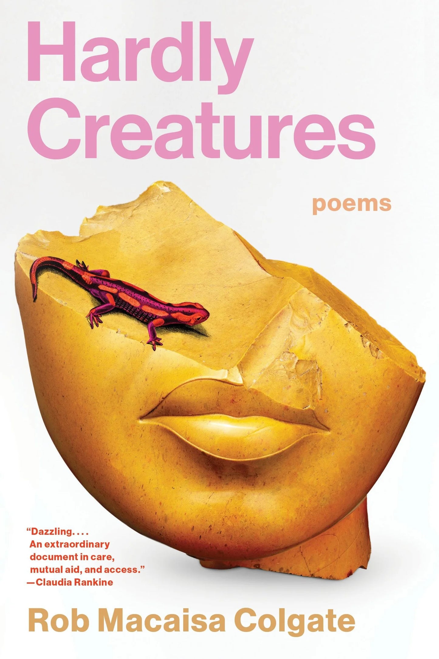 Hardly Creatures by Rob Macaisa Colgate