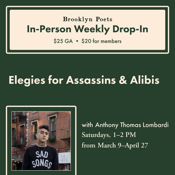 Elegies for Assassins & Alibis